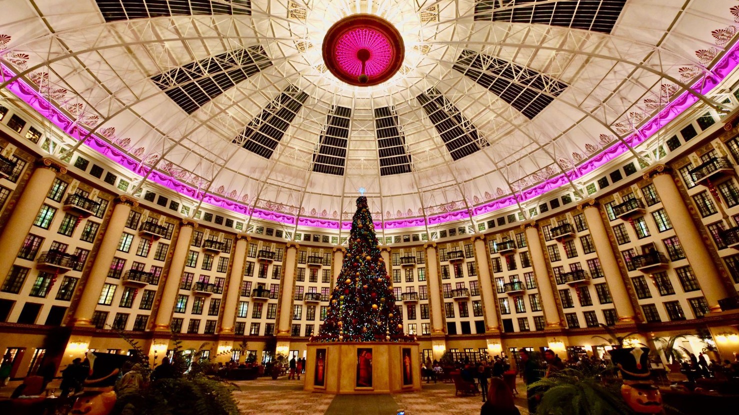 Find Health and Joy Around Your Christmas Tree